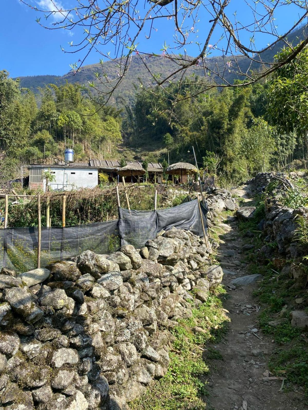 Sue Pa Family Trekking Homestay Sa Pa Buitenkant foto