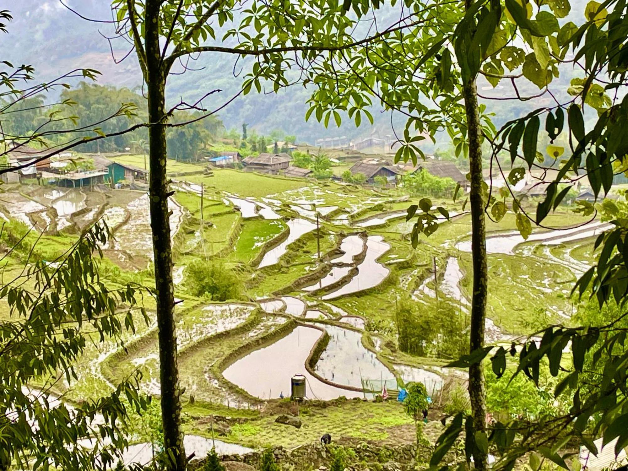 Sue Pa Family Trekking Homestay Sa Pa Buitenkant foto