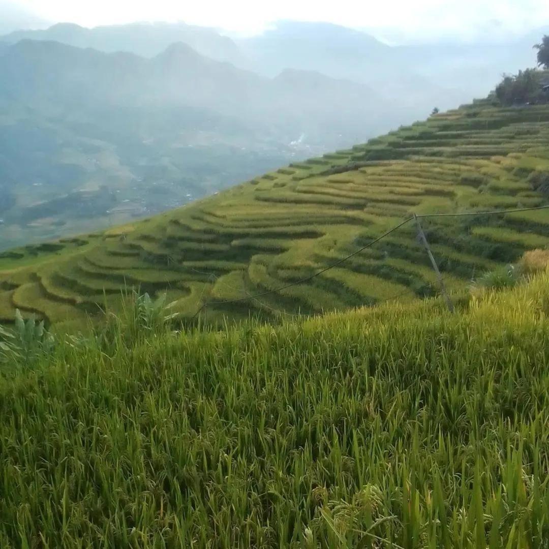 Sue Pa Family Trekking Homestay Sa Pa Buitenkant foto
