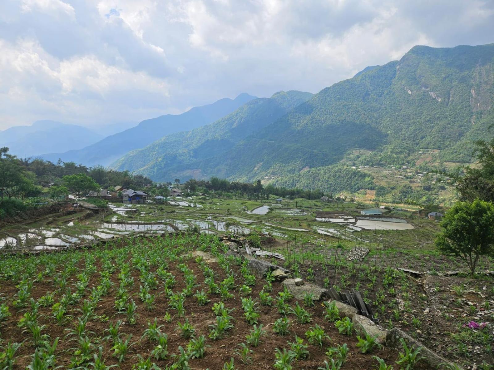 Sue Pa Family Trekking Homestay Sa Pa Buitenkant foto
